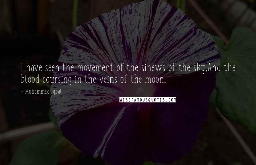 Muhammad Iqbal Quotes: I have seen the movement of the sinews of the sky,And the blood coursing in the veins of the moon.