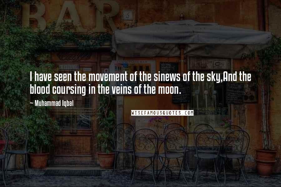 Muhammad Iqbal Quotes: I have seen the movement of the sinews of the sky,And the blood coursing in the veins of the moon.