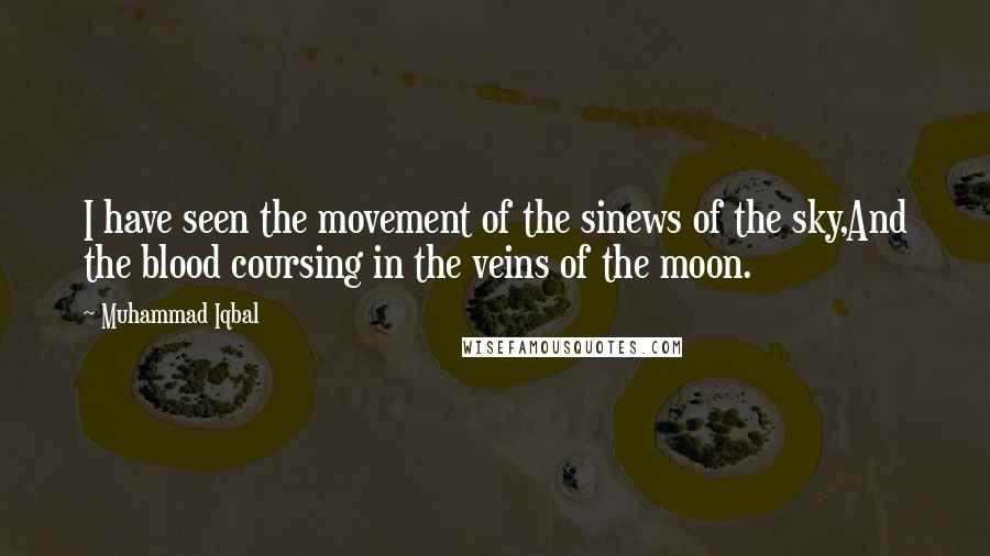 Muhammad Iqbal Quotes: I have seen the movement of the sinews of the sky,And the blood coursing in the veins of the moon.