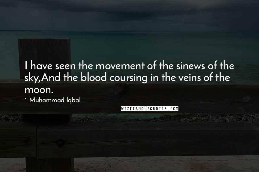 Muhammad Iqbal Quotes: I have seen the movement of the sinews of the sky,And the blood coursing in the veins of the moon.