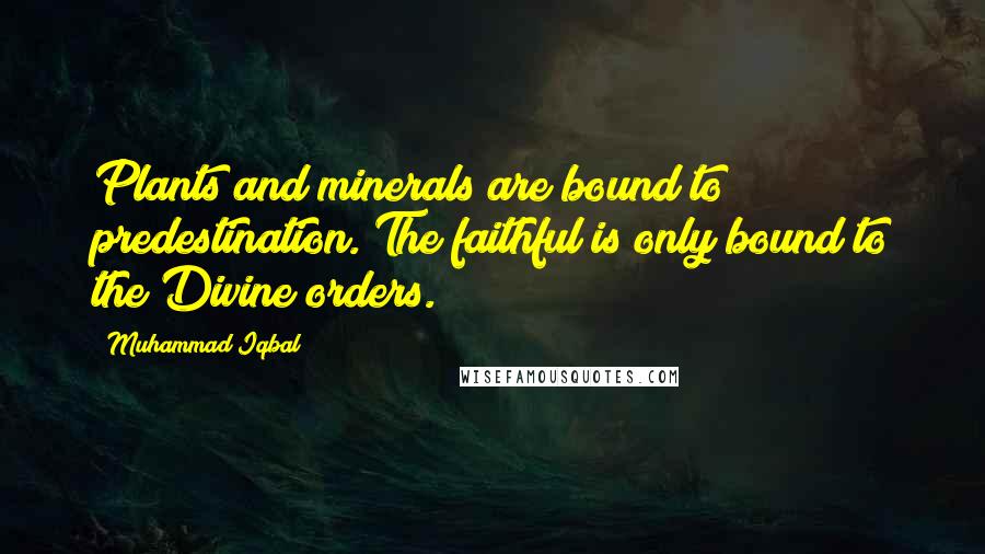 Muhammad Iqbal Quotes: Plants and minerals are bound to predestination. The faithful is only bound to the Divine orders.