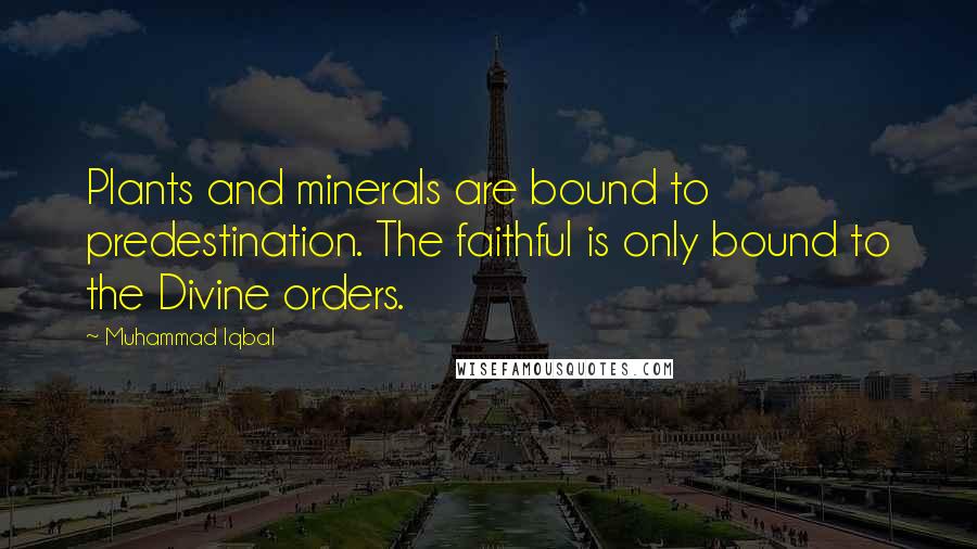 Muhammad Iqbal Quotes: Plants and minerals are bound to predestination. The faithful is only bound to the Divine orders.