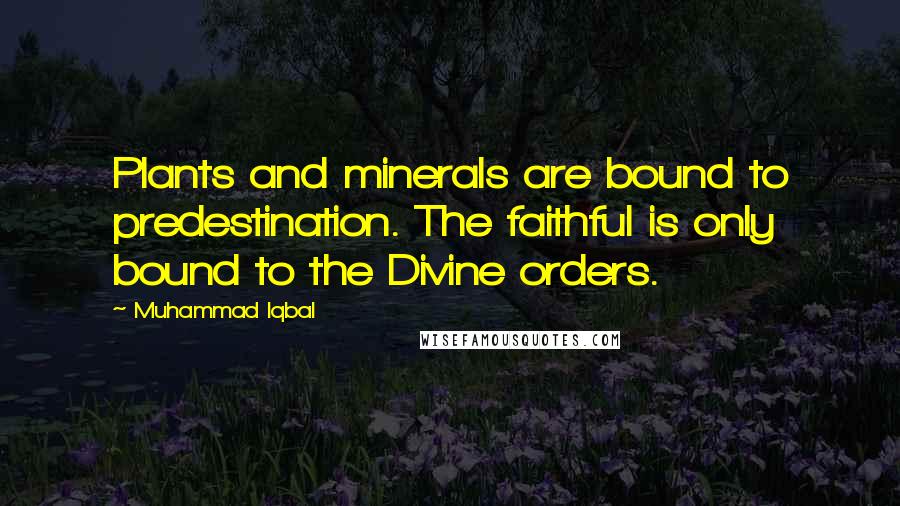 Muhammad Iqbal Quotes: Plants and minerals are bound to predestination. The faithful is only bound to the Divine orders.