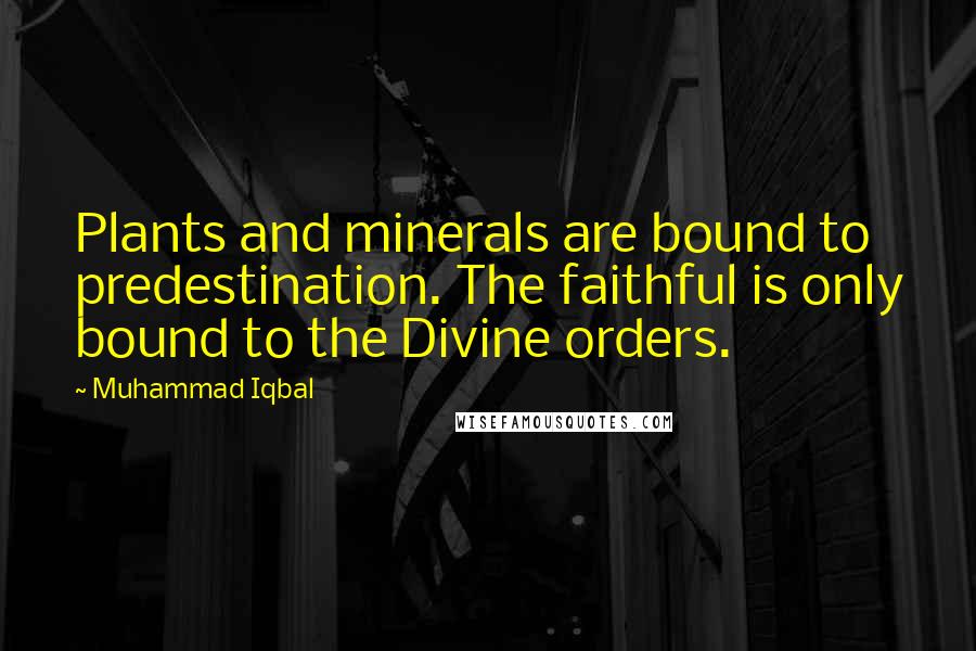 Muhammad Iqbal Quotes: Plants and minerals are bound to predestination. The faithful is only bound to the Divine orders.