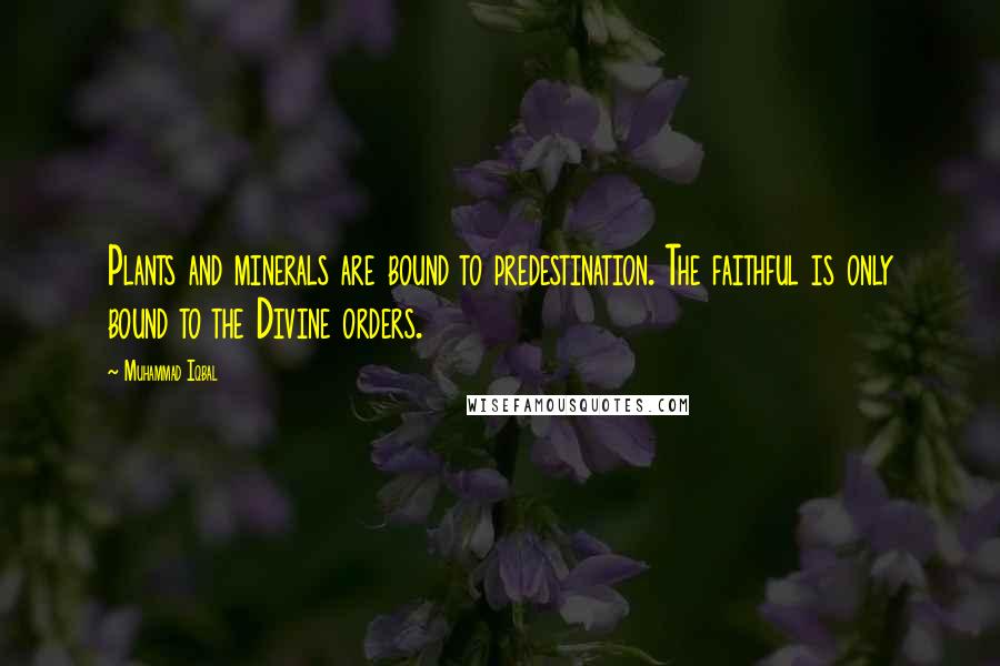 Muhammad Iqbal Quotes: Plants and minerals are bound to predestination. The faithful is only bound to the Divine orders.