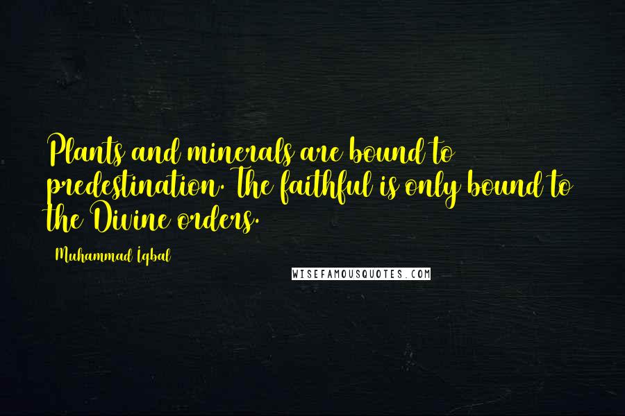 Muhammad Iqbal Quotes: Plants and minerals are bound to predestination. The faithful is only bound to the Divine orders.