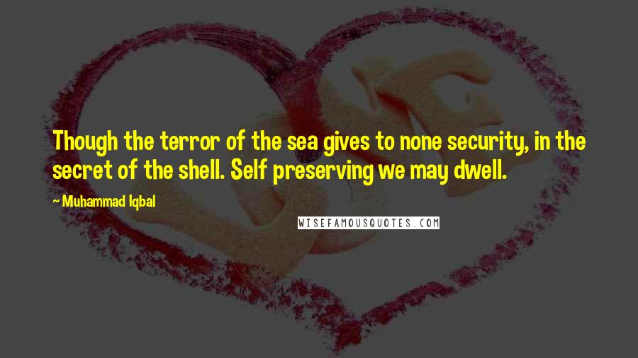 Muhammad Iqbal Quotes: Though the terror of the sea gives to none security, in the secret of the shell. Self preserving we may dwell.