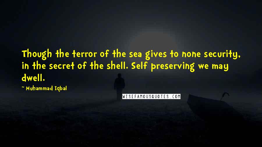 Muhammad Iqbal Quotes: Though the terror of the sea gives to none security, in the secret of the shell. Self preserving we may dwell.