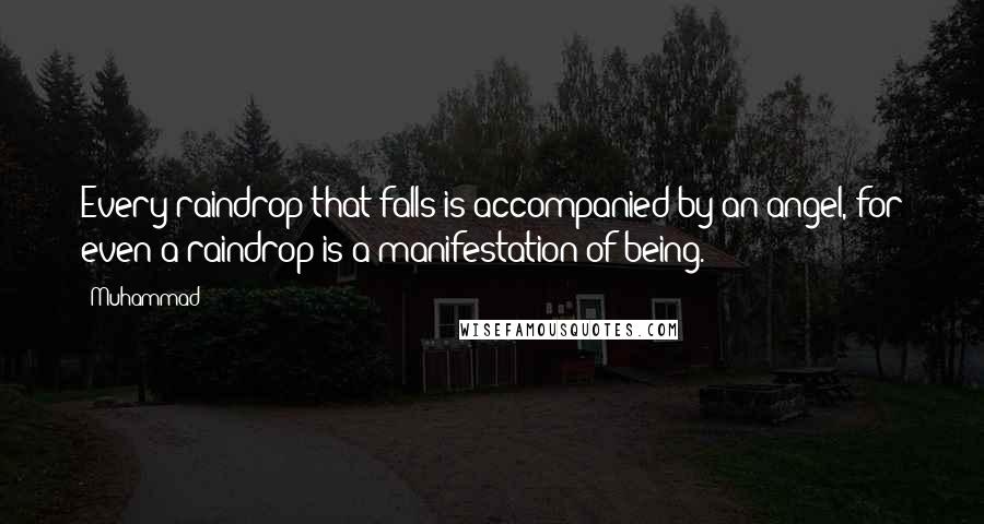 Muhammad Quotes: Every raindrop that falls is accompanied by an angel, for even a raindrop is a manifestation of being.