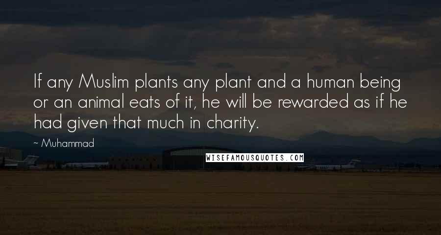 Muhammad Quotes: If any Muslim plants any plant and a human being or an animal eats of it, he will be rewarded as if he had given that much in charity.