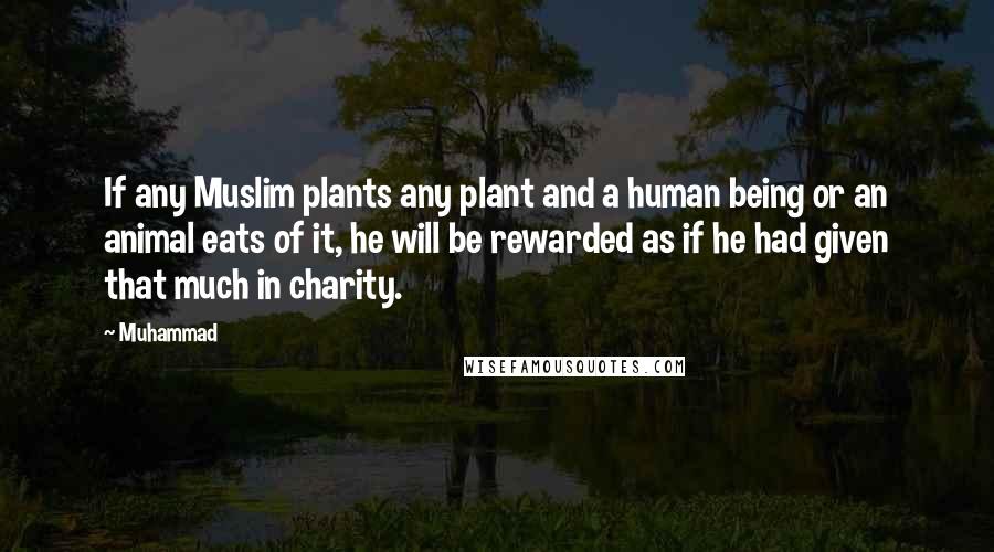 Muhammad Quotes: If any Muslim plants any plant and a human being or an animal eats of it, he will be rewarded as if he had given that much in charity.