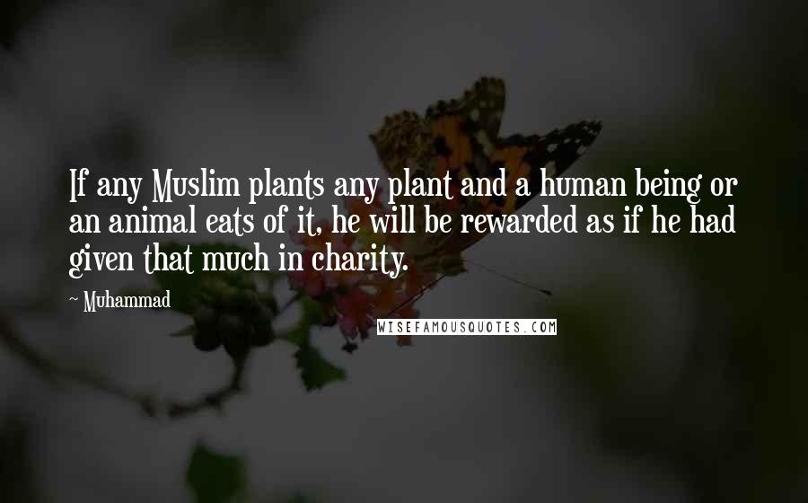 Muhammad Quotes: If any Muslim plants any plant and a human being or an animal eats of it, he will be rewarded as if he had given that much in charity.