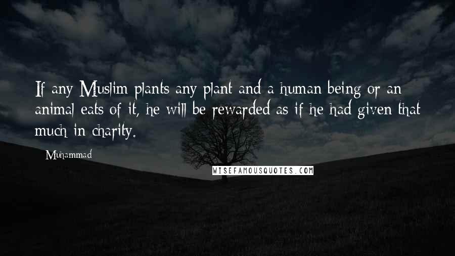 Muhammad Quotes: If any Muslim plants any plant and a human being or an animal eats of it, he will be rewarded as if he had given that much in charity.