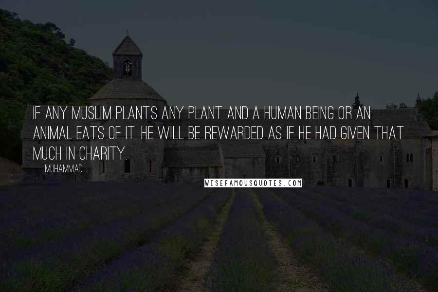 Muhammad Quotes: If any Muslim plants any plant and a human being or an animal eats of it, he will be rewarded as if he had given that much in charity.