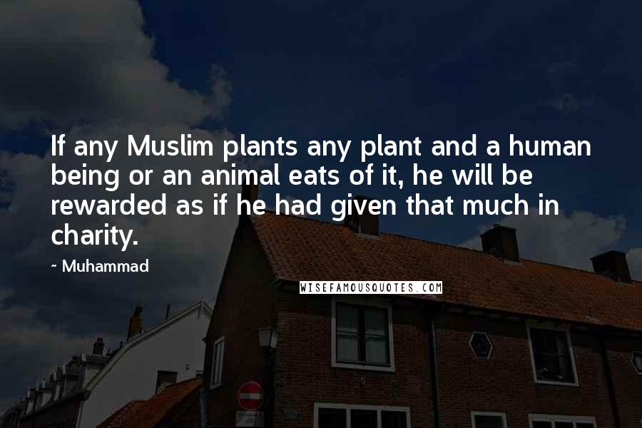 Muhammad Quotes: If any Muslim plants any plant and a human being or an animal eats of it, he will be rewarded as if he had given that much in charity.