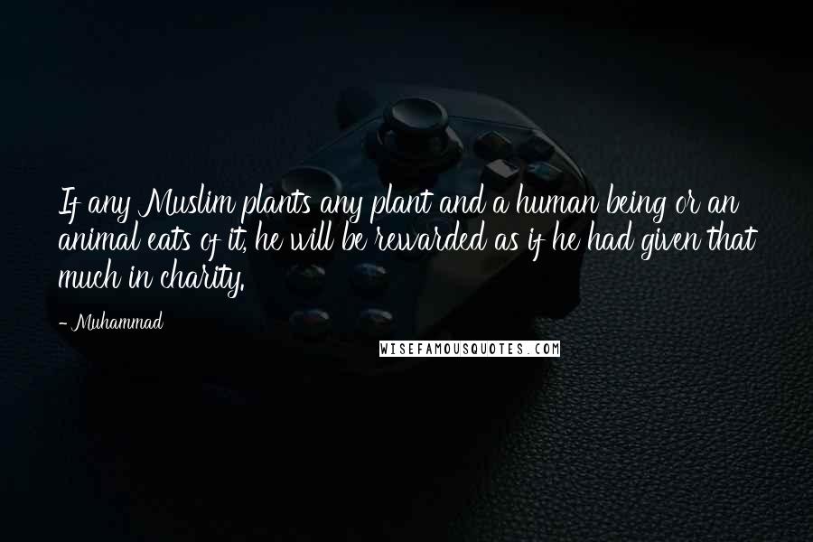 Muhammad Quotes: If any Muslim plants any plant and a human being or an animal eats of it, he will be rewarded as if he had given that much in charity.