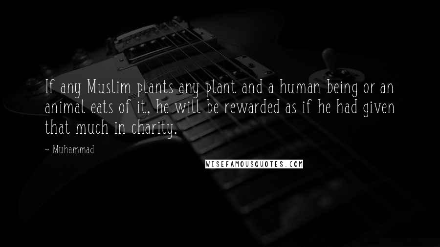 Muhammad Quotes: If any Muslim plants any plant and a human being or an animal eats of it, he will be rewarded as if he had given that much in charity.