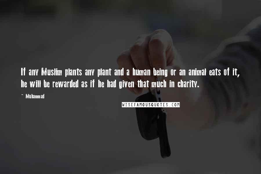 Muhammad Quotes: If any Muslim plants any plant and a human being or an animal eats of it, he will be rewarded as if he had given that much in charity.