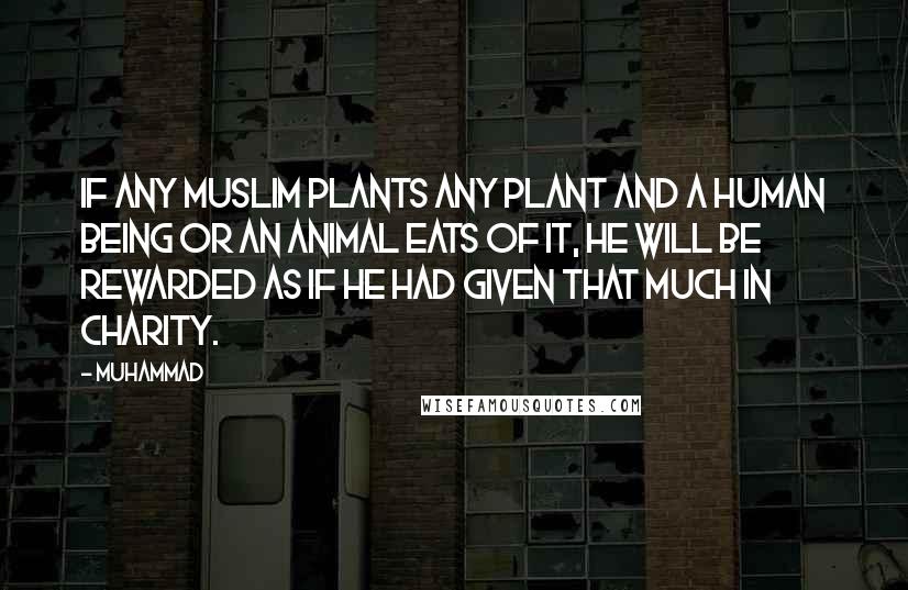 Muhammad Quotes: If any Muslim plants any plant and a human being or an animal eats of it, he will be rewarded as if he had given that much in charity.