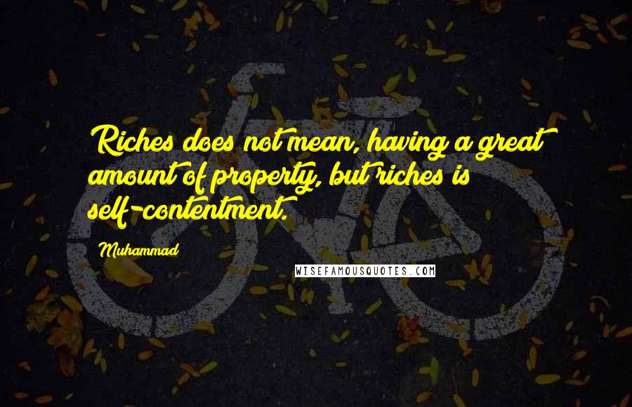 Muhammad Quotes: Riches does not mean, having a great amount of property, but riches is self-contentment.