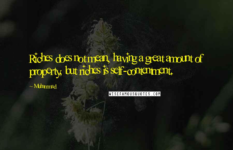 Muhammad Quotes: Riches does not mean, having a great amount of property, but riches is self-contentment.