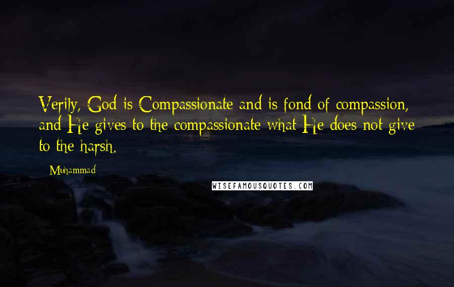 Muhammad Quotes: Verily, God is Compassionate and is fond of compassion, and He gives to the compassionate what He does not give to the harsh.
