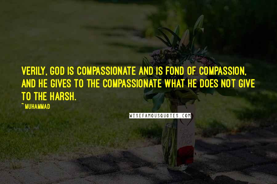 Muhammad Quotes: Verily, God is Compassionate and is fond of compassion, and He gives to the compassionate what He does not give to the harsh.