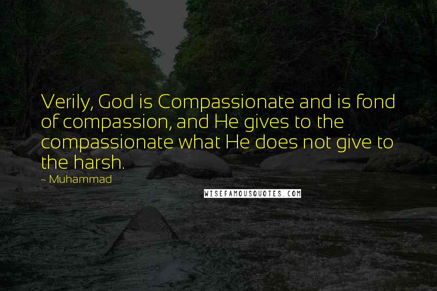 Muhammad Quotes: Verily, God is Compassionate and is fond of compassion, and He gives to the compassionate what He does not give to the harsh.