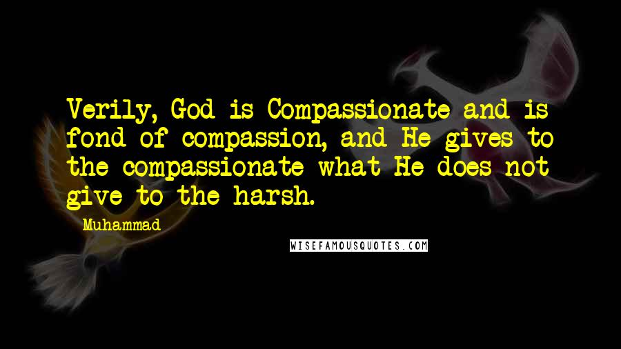 Muhammad Quotes: Verily, God is Compassionate and is fond of compassion, and He gives to the compassionate what He does not give to the harsh.