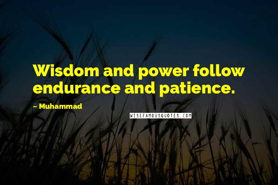 Muhammad Quotes: Wisdom and power follow endurance and patience.