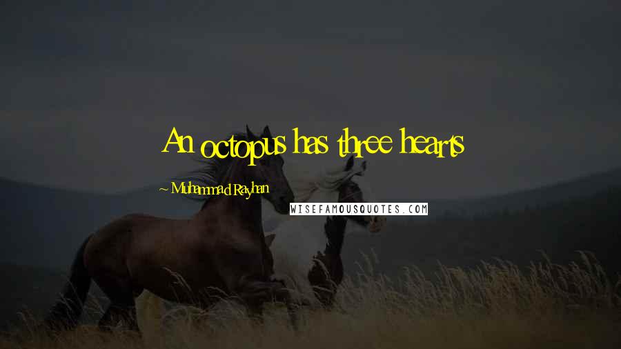 Muhammad Rayhan Quotes: An octopus has three hearts