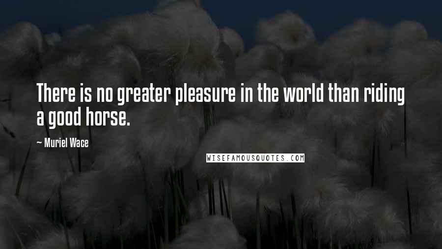 Muriel Wace Quotes: There is no greater pleasure in the world than riding a good horse.