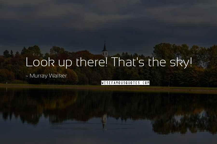 Murray Walker Quotes: Look up there! That's the sky!