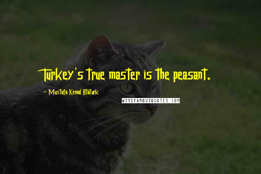 Mustafa Kemal Ataturk Quotes: Turkey's true master is the peasant.