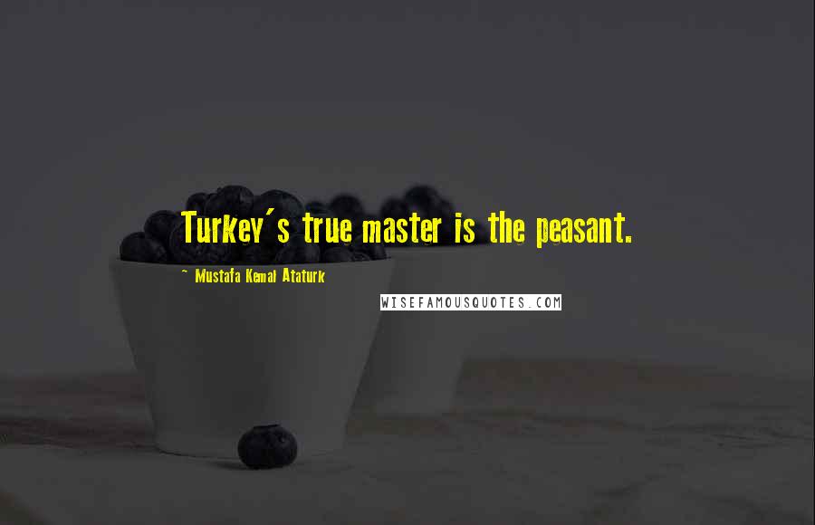 Mustafa Kemal Ataturk Quotes: Turkey's true master is the peasant.