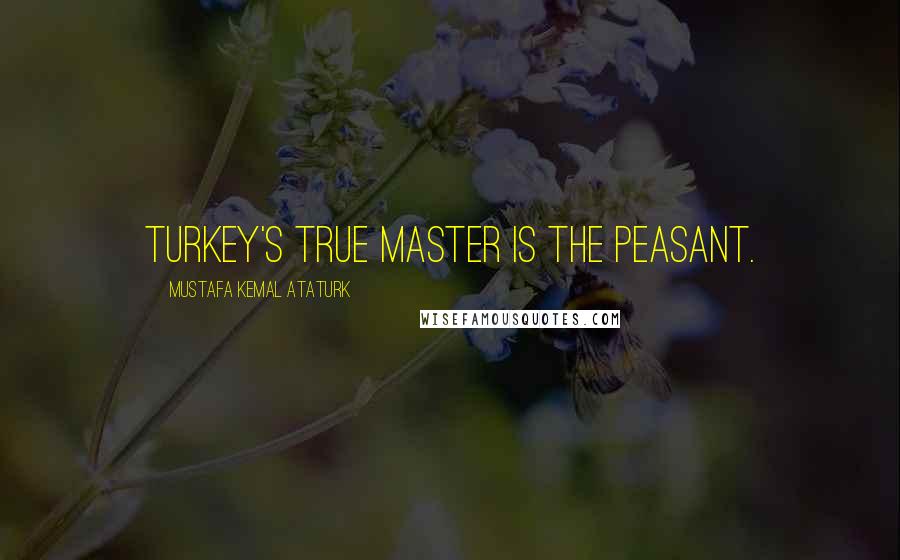 Mustafa Kemal Ataturk Quotes: Turkey's true master is the peasant.