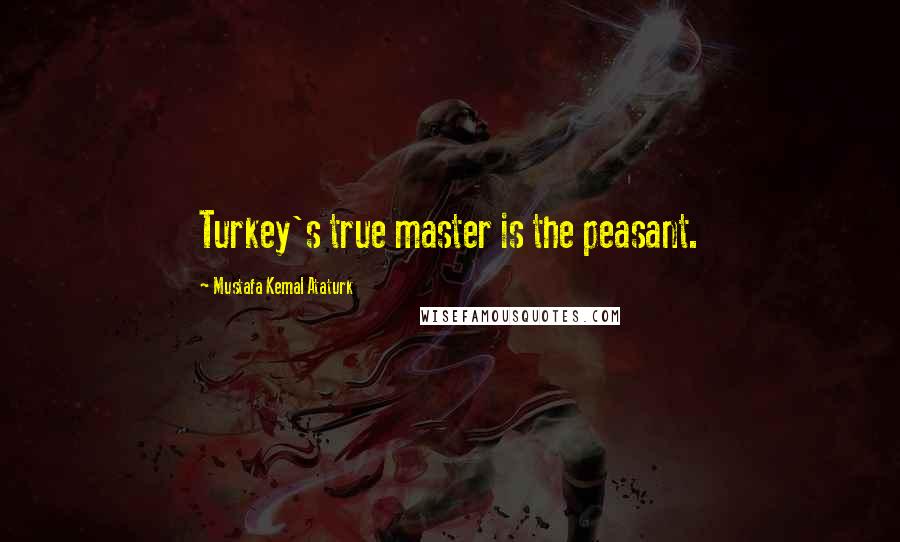 Mustafa Kemal Ataturk Quotes: Turkey's true master is the peasant.