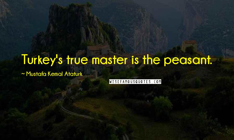 Mustafa Kemal Ataturk Quotes: Turkey's true master is the peasant.