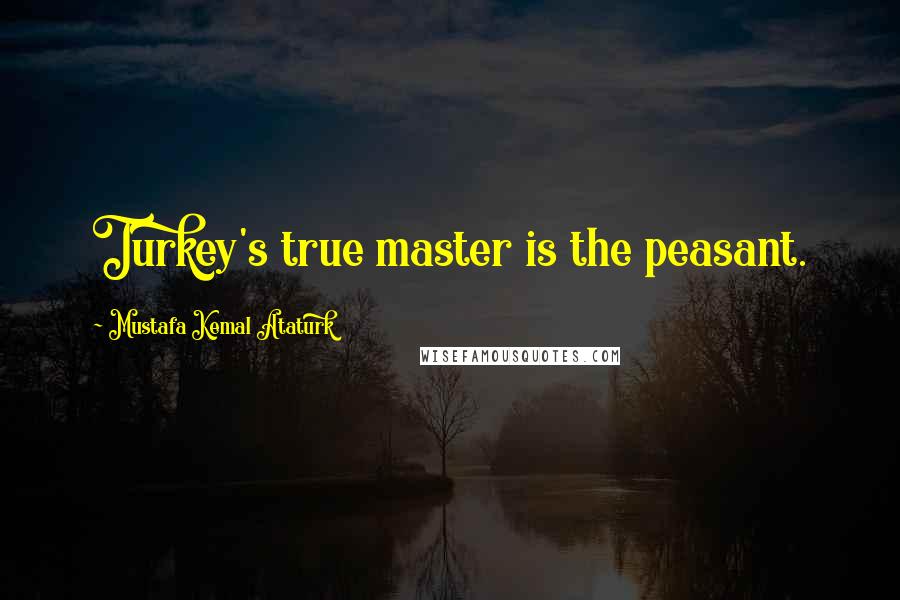 Mustafa Kemal Ataturk Quotes: Turkey's true master is the peasant.