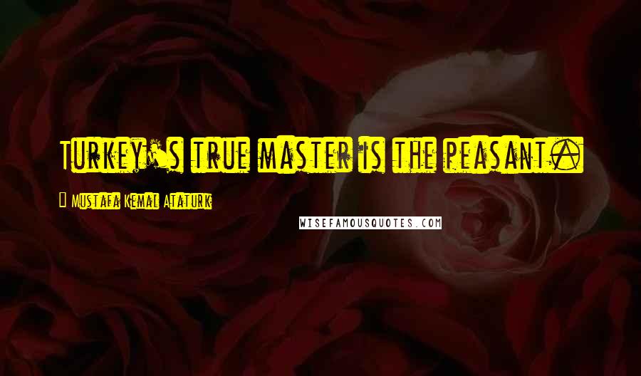 Mustafa Kemal Ataturk Quotes: Turkey's true master is the peasant.