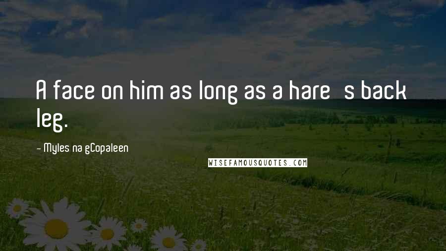 Myles Na GCopaleen Quotes: A face on him as long as a hare's back leg.