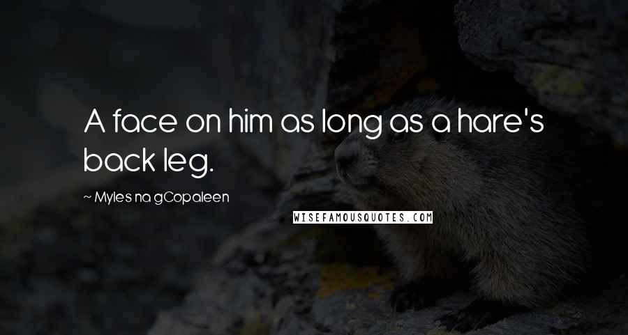 Myles Na GCopaleen Quotes: A face on him as long as a hare's back leg.