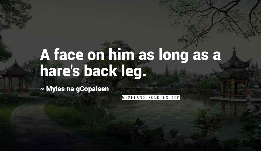 Myles Na GCopaleen Quotes: A face on him as long as a hare's back leg.