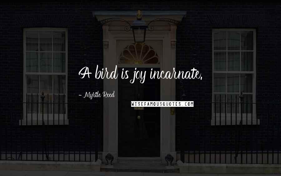 Myrtle Reed Quotes: A bird is joy incarnate.