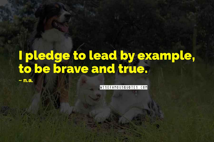 N.a. Quotes: I pledge to lead by example, to be brave and true.