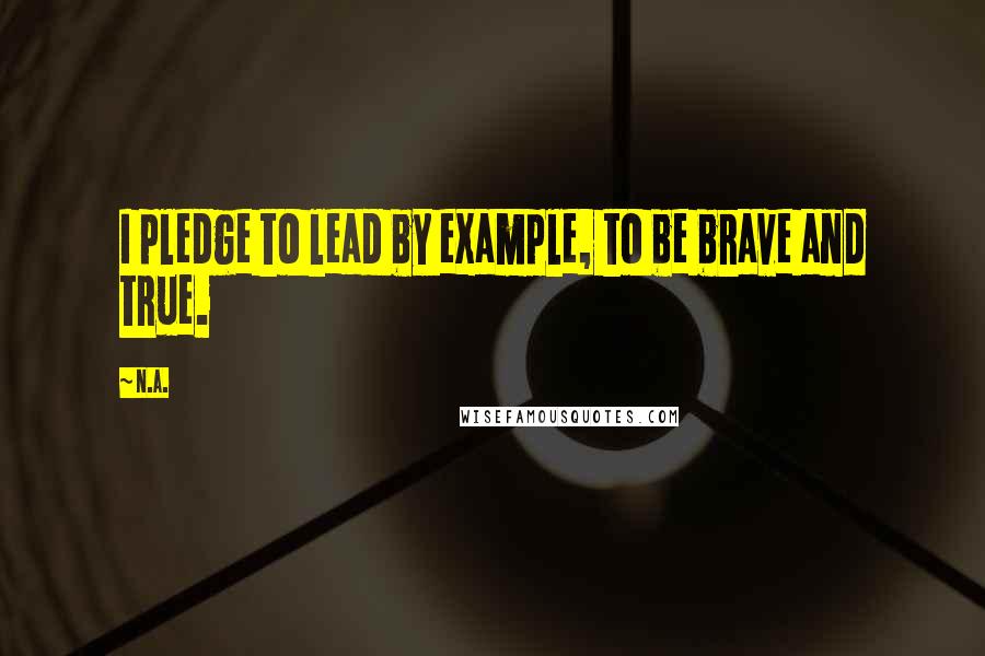 N.a. Quotes: I pledge to lead by example, to be brave and true.