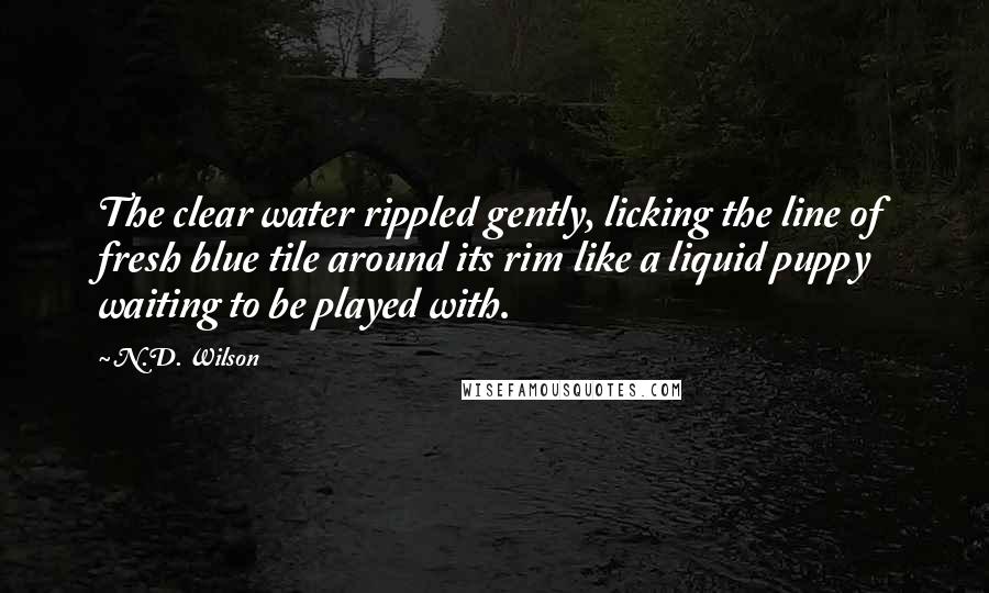N.D. Wilson Quotes: The clear water rippled gently, licking the line of fresh blue tile around its rim like a liquid puppy waiting to be played with.