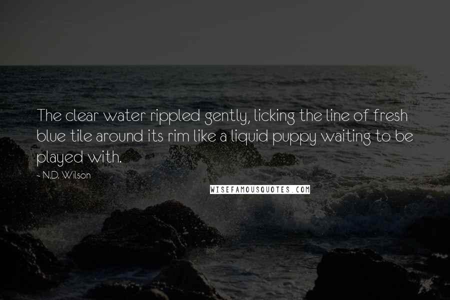 N.D. Wilson Quotes: The clear water rippled gently, licking the line of fresh blue tile around its rim like a liquid puppy waiting to be played with.