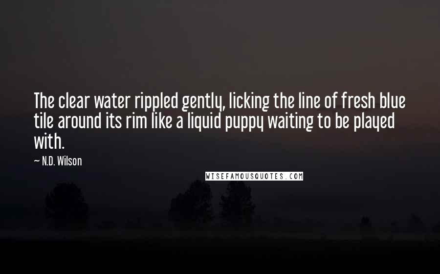 N.D. Wilson Quotes: The clear water rippled gently, licking the line of fresh blue tile around its rim like a liquid puppy waiting to be played with.