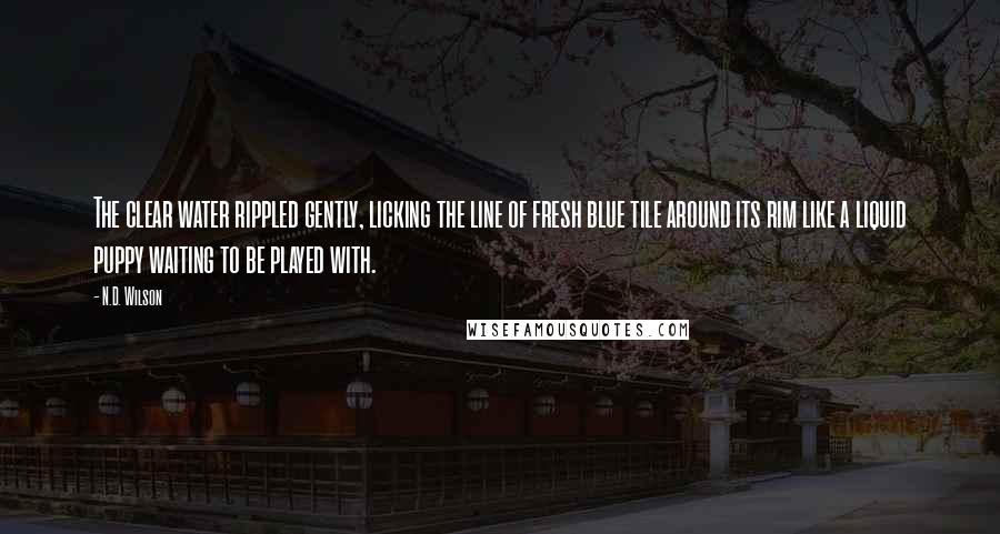 N.D. Wilson Quotes: The clear water rippled gently, licking the line of fresh blue tile around its rim like a liquid puppy waiting to be played with.